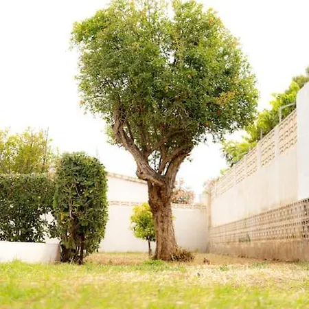 בית נופש Casa Voramar En A 300m De La Playa